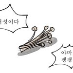[드루와] 고1들앙
