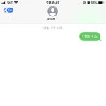 덥즈 투표함