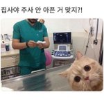 [댓글부탁해] 이분들 공통점이 뭘까??