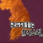 [ㅅㅂ] 나 진심 매국노인가...