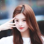[모두드루와] 레드벨벳 아이린 닮은 꼴 아이돌.jpg