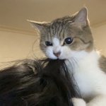 [드루와] 얘<b>도라</b> 짝남 위로 어케함 ㅠㅠㅠㅠㅠ