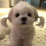 가슴 나오는 거 싫은 사람 들어오ㅏ