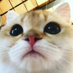 너네가 너네 본진 기획<b>사장</b>이라면 어떻게 할거임?