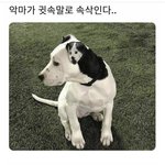 5인 가족이면 최소 월 얼마는 벌어야 여유있게 <b>사냐</b>