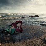 낯선 환경에 <b>익숙</b>한 캐릭터들