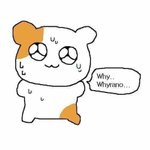 <b>틱톡</b> 팔로워 이정도면 많은거?