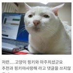 [드루와] 속보) 고등학교 첫 집단<b>감염</b> 발생, 교육부 비상