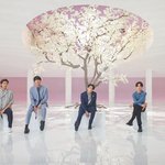 [방탄소년단] 22일<b>예정</b> 일본방송 라이브 무대짤