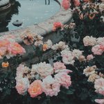 이 유명한 글 <b>링크</b> 있는사람 제발ㅠㅠ