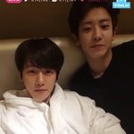 같은 강아지상 다른 그림체