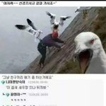 [댓글부탁해] 그냥 달력에서 2020 삭제하고 <b>리셋</b>하면 안되냐