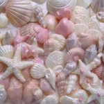 [댓글부탁해] <b>estj</b> 들어와봐