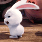 <b>초성</b>으로 본진 멤버 본명 ㄱㄱ