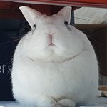 [방탄소년단] 있잖아