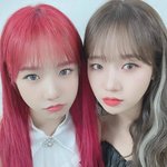 [모두드루와] 와 조유리랑 최유정 같이셀카찍었다