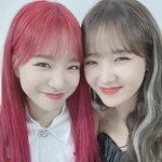 조유리 최유정