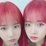 최유정 조유리 ㄹㅇ 쌍둥이 같다