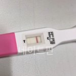 [19] 첫<b>소변</b>으로 임테기했는데 봐줘