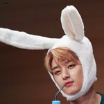 <b>인형탈</b> 쓰고 알바하다가 현타 온 주연이