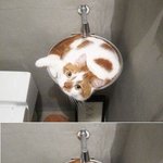 [고양이] 판녀들의 3분을 훔쳐보겠다!!