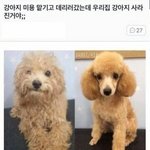 [드루와] 아리아나 no <b>tears</b> left to cry 아는사람