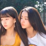[드루와] 단발병 <b>퇴치</b>짤 모음