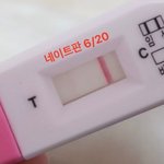 [댓글부탁해] ? 나 임테기해봤는데 <b>두줄</b>나옴