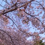 [NCT] 재현 일코할 사진 좀 <b>주라</b>ㅠㅠ