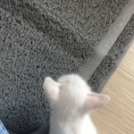 진짜로 남 뒷담하지<b>마</b><b>셈</b>
