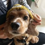 근데 안꾸미고 <b>수수</b>하게 예쁜것도ㅠㅠ