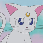 우리 옆집에 짝남 살아