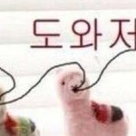 구라<b>안</b>치고 공부 아예 <b>안</b><b>함</b> 월요일 시험인데