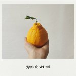 [세븐틴] <b>한라</b>봉 들고 찍은거 생각하니까