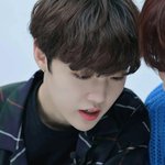 [트레저] 왜요 <b>asmr</b>에서 예쁜 도깅이