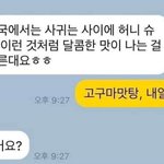 [댓글부탁해] <b>학종</b> 논술 수능 셋다하는거 오바?