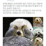 [드루와] 예쁜 판녀 많다는 <b>확실</b>한 증거