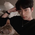 [19] 얘들아 급해ㅠㅠ 빨리들