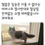 [댓글부탁해] 너넨 뭐 과<b>몰입</b> 하는 거 있냐