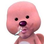 내 친구 <b>르꼬끄</b> 데상트 샀더라