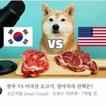 [드루와] 대한민국 국뽕 유튜브 수준...ㅗㅜㅑ