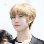 혼틈타 내새끼사진