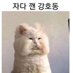 <b>탈판</b>함ㅂㅂ
