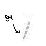 [댓글부탁해] 나 침대에 못들어가겠어 아 와