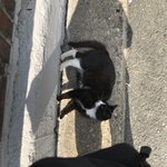 우리 <b>집</b> <b>앞</b> 고영희 봐줘랑