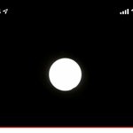 <b>일식</b> 생중계 보는중