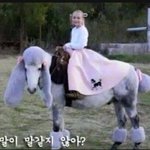[<b>추반</b>] 판하면서 이거 해봤다 안해봤다 <b>추반</b> ㄱ