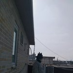 나 이러고 <b>일식</b> 보는중인데 ㅁㅊ년같음