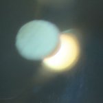 [댓글부탁해] 망원경으로 <b>일식</b> 찍었다