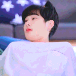 [댓글부탁해] 내 최애들 공통점 찾아줘
